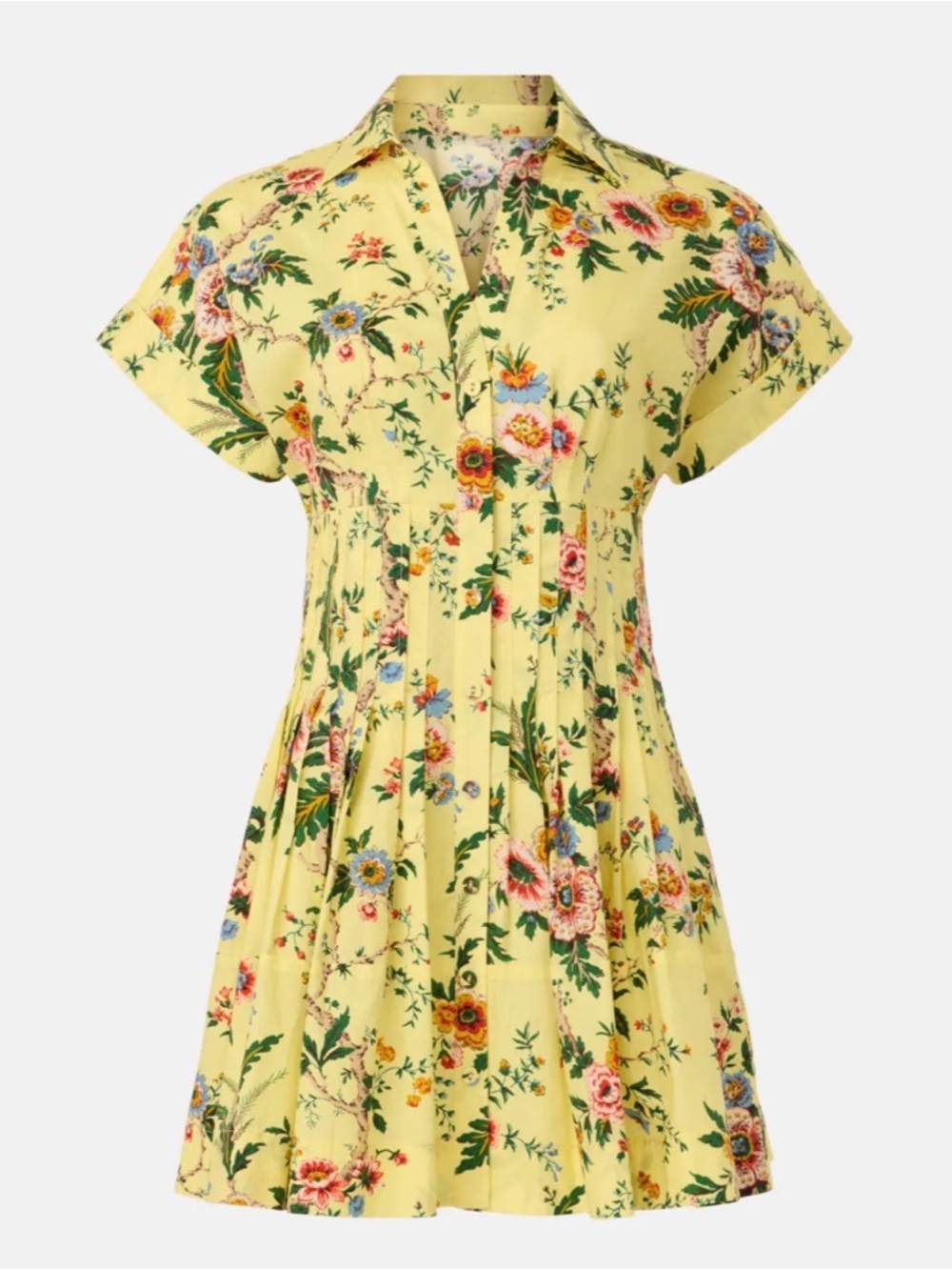 Cara Cara New York Nash Floral Mini Dress